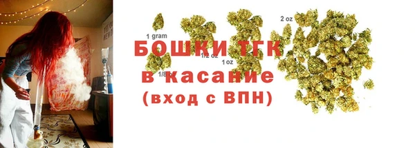 стаф Мегион