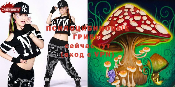 стаф Мегион