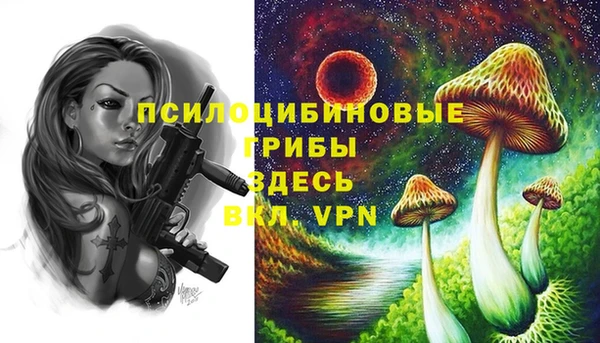 мефедрон Медвежьегорск